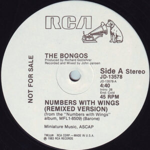 The Bongos - Numbers With Wings