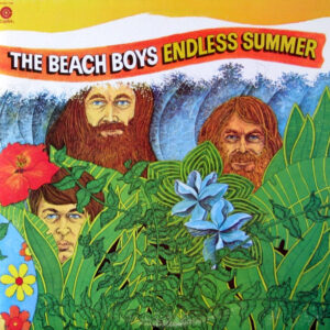 The Beach Boys - Endless Summer