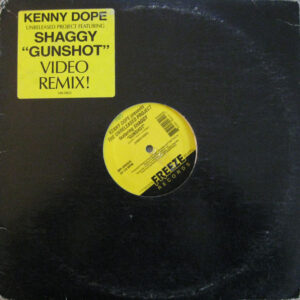 Kenny "Dope" Gonzalez Featuring Shaggy - The Unreleased Project - Gunshot