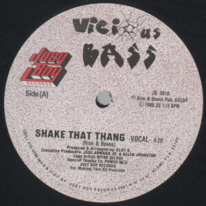 Vicious Bass - Shake That Thang