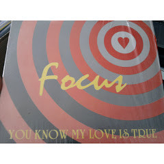 Focus (24)-0