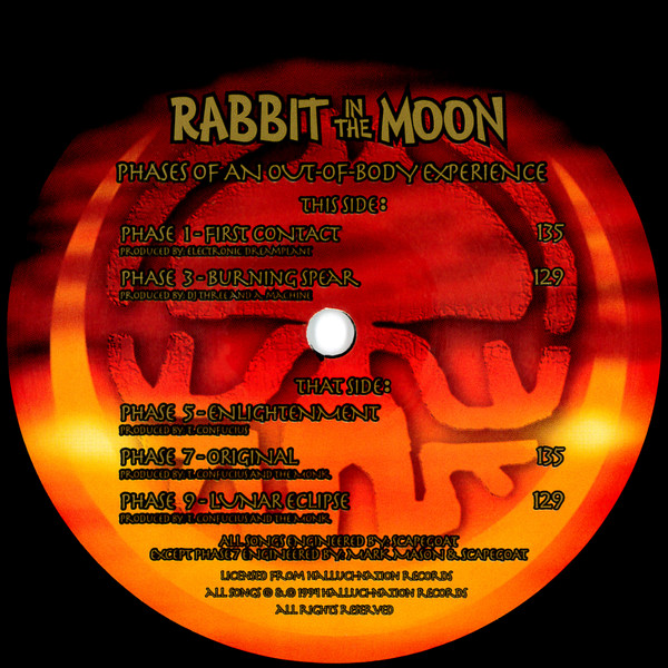 Rabbit In The Moon-2