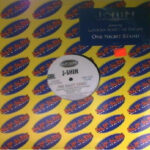 J-Shin Featuring LaTocha Scott – One Night Stand